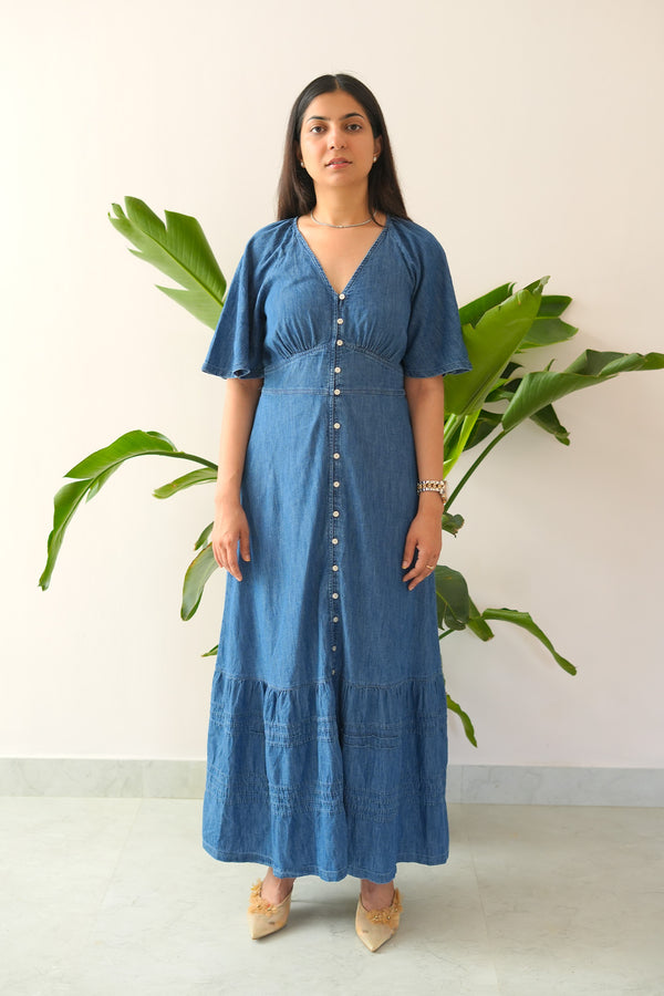 Woman wearing a blue dress standing in front of a plant with a white wall background