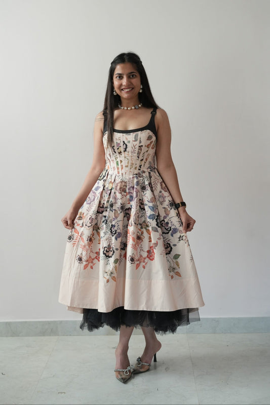 Cat in my dress