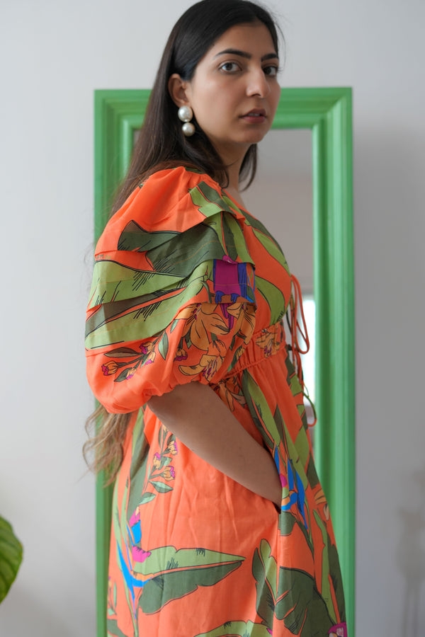 Jungle bohemian - TBFO