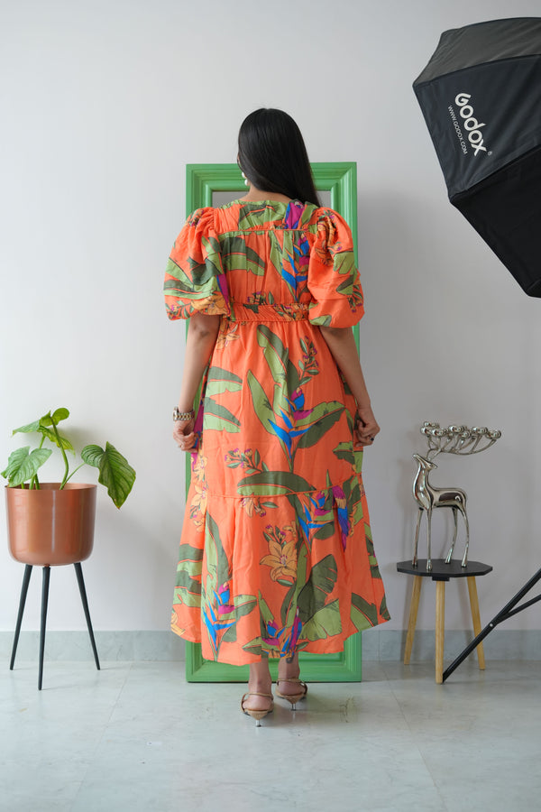 Jungle bohemian - TBFO