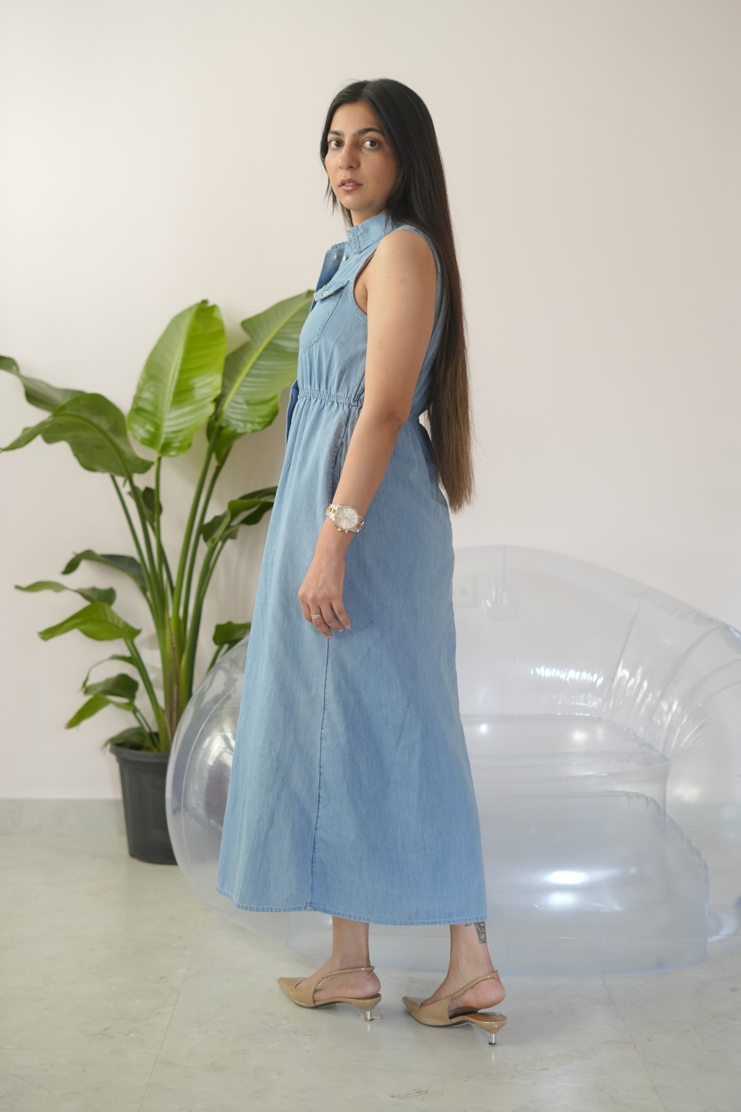 Jenious Dress