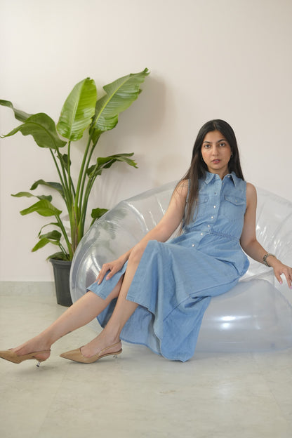 Jenious Dress