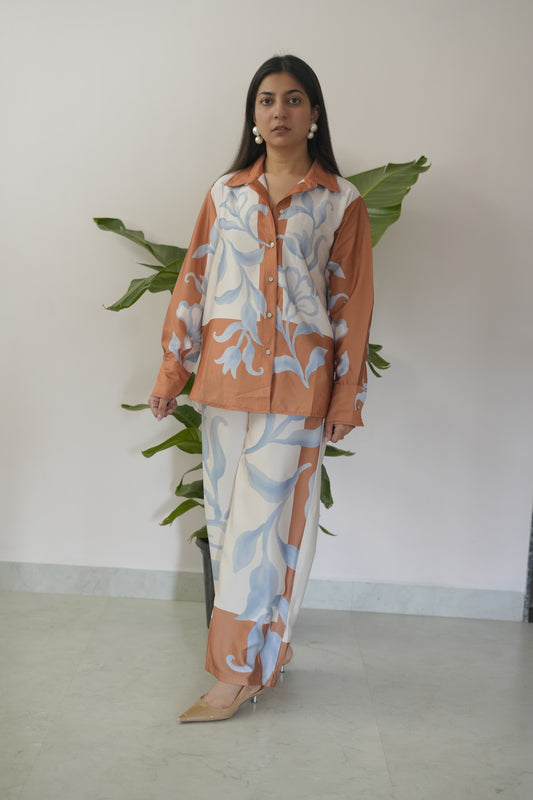 Oasic Coord