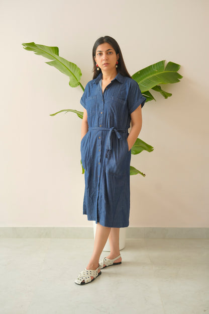 Woman wearing a blue dress standing against a light background with green leaves.
