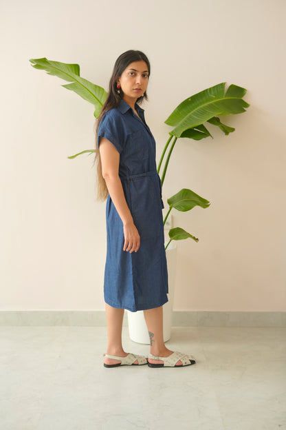Woman wearing a blue dress standing next to a large green plant indoors.