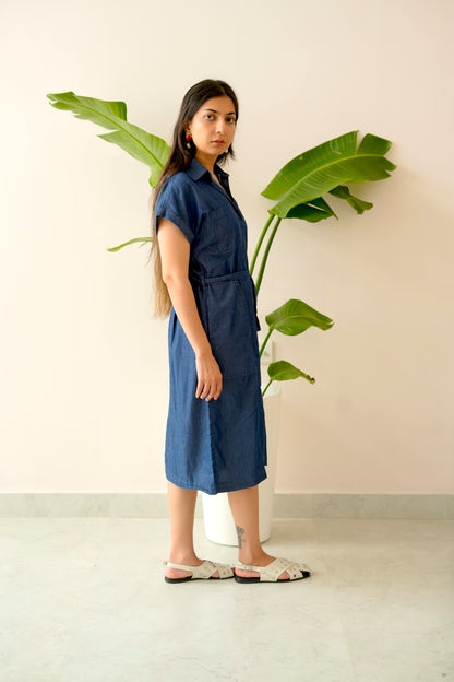 Blue maharani