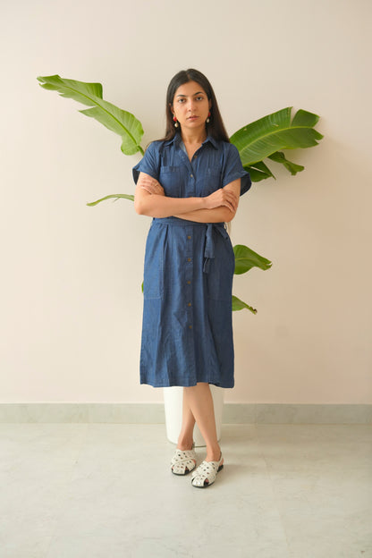 Woman in a blue dress standing in front of a plant with a neutral background