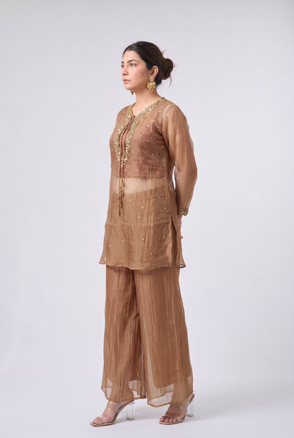 A woman modeling a sheer taupe-brown traditional outfit with gold embroidery, featuring a long-sleeve top and wide-leg pants, photographed against a light gray studio background.
