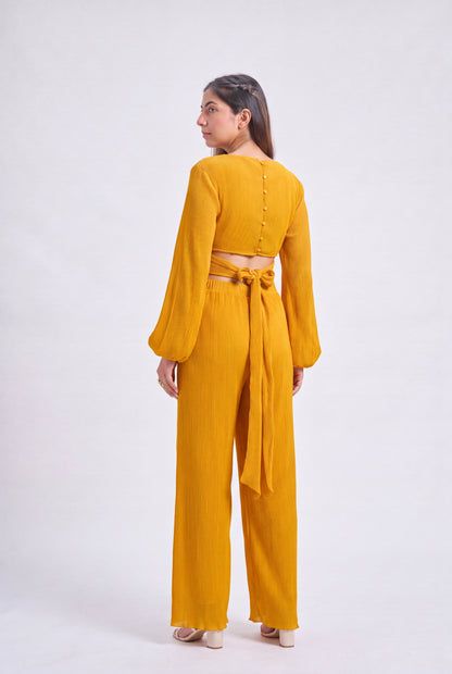 Tbfo Pleated Designer Coord Set