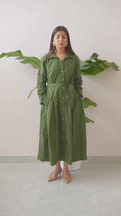 Olive Edit